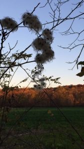 Cuyahoga Valley National Park