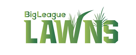 bigleague_logo